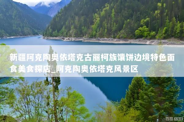 新疆阿克陶奥依塔克古丽柯族馕饼边境特色面食美食探店_阿克陶奥依塔克风景区