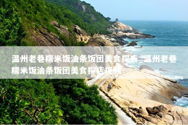 温州老巷糯米饭油条饭团美食探店_温州老巷糯米饭油条饭团美食探店视频