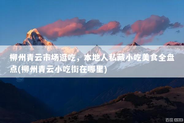 柳州青云市场逛吃，本地人私藏小吃美食全盘点(柳州青云小吃街在哪里)