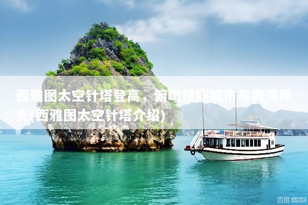 西雅图太空针塔登高，俯瞰整座城市与海湾风光(西雅图太空针塔介绍)