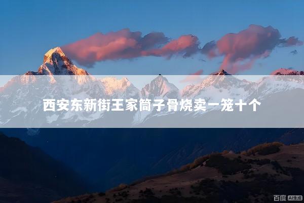 西安东新街王家筒子骨烧卖一笼十个