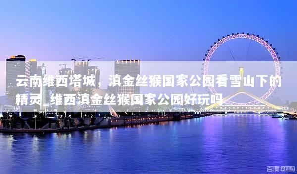 云南维西塔城，滇金丝猴国家公园看雪山下的精灵_维西滇金丝猴国家公园好玩吗