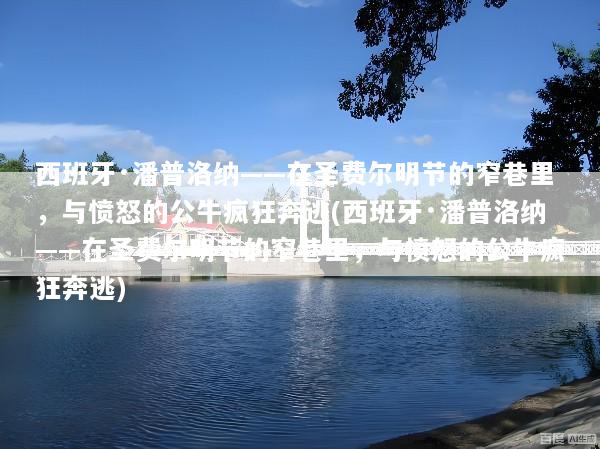 西班牙·潘普洛纳——在圣费尔明节的窄巷里，与愤怒的公牛疯狂奔逃(西班牙·潘普洛纳——在圣费尔明节的窄巷里，与愤怒的公牛疯狂奔逃)
