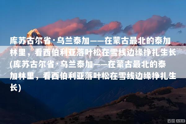 库苏古尔省·乌兰泰加——在蒙古最北的泰加林里，看西伯利亚落叶松在雪线边缘挣扎生长(库苏古尔省·乌兰泰加——在蒙古最北的泰加林里，看西伯利亚落叶松在雪线边缘挣扎生长)