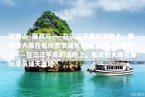 双鸭山·雁窝岛——在三江平原的湿地上，看成群大雁在春秋季节铺天盖地_双鸭山·雁窝岛——在三江平原的湿地上，看成群大雁在春秋季节铺天盖地