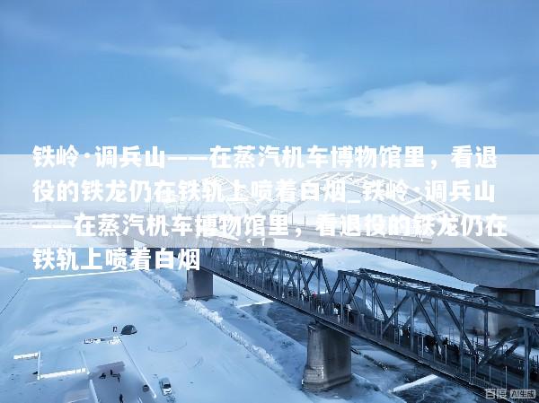 铁岭·调兵山——在蒸汽机车博物馆里，看退役的铁龙仍在铁轨上喷着白烟_铁岭·调兵山——在蒸汽机车博物馆里，看退役的铁龙仍在铁轨上喷着白烟