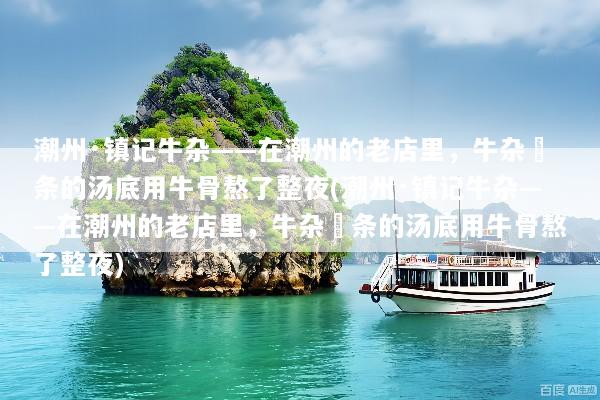 潮州·镇记牛杂——在潮州的老店里，牛杂粿条的汤底用牛骨熬了整夜(潮州·镇记牛杂——在潮州的老店里，牛杂粿条的汤底用牛骨熬了整夜)