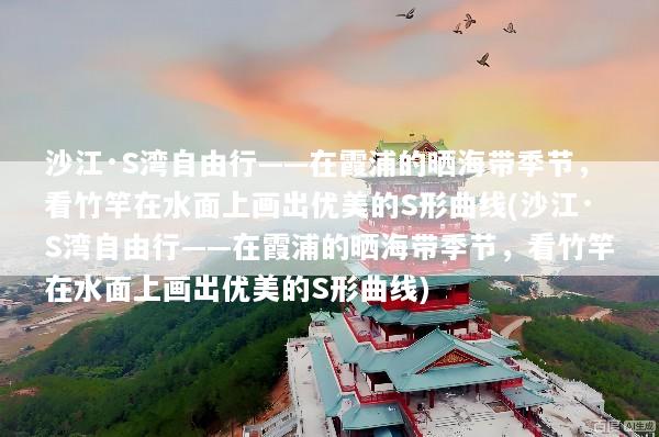 沙江·S湾自由行——在霞浦的晒海带季节，看竹竿在水面上画出优美的S形曲线(沙江·S湾自由行——在霞浦的晒海带季节，看竹竿在水面上画出优美的S形曲线)