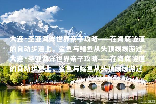 大连·圣亚海洋世界亲子攻略——在海底隧道的自动步道上，鲨鱼与鳐鱼从头顶缓缓游过_大连·圣亚海洋世界亲子攻略——在海底隧道的自动步道上，鲨鱼与鳐鱼从头顶缓缓游过
