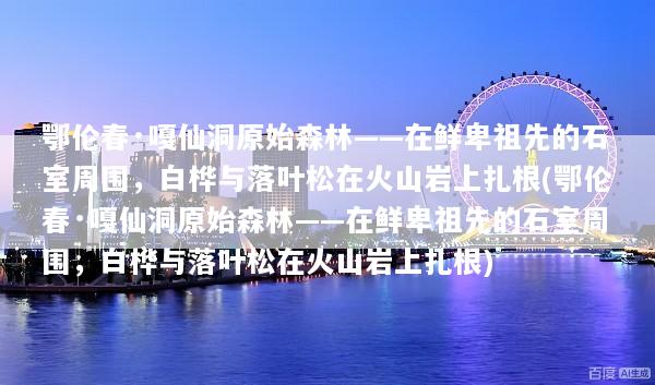 鄂伦春·嘎仙洞原始森林——在鲜卑祖先的石室周围，白桦与落叶松在火山岩上扎根(鄂伦春·嘎仙洞原始森林——在鲜卑祖先的石室周围，白桦与落叶松在火山岩上扎根)