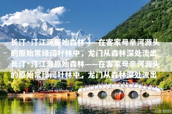 长汀·汀江源原始森林——在客家母亲河源头的原始常绿阔叶林中，龙门从森林深处流出_长汀·汀江源原始森林——在客家母亲河源头的原始常绿阔叶林中，龙门从森林深处流出