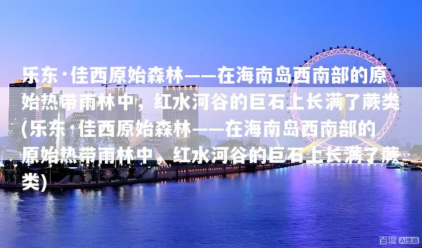 乐东·佳西原始森林——在海南岛西南部的原始热带雨林中，红水河谷的巨石上长满了蕨类(乐东·佳西原始森林——在海南岛西南部的原始热带雨林中，红水河谷的巨石上长满了蕨类)