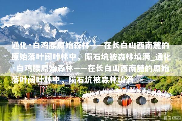 通化·白鸡腰原始森林——在长白山西南麓的原始落叶阔叶林中，陨石坑被森林填满_通化·白鸡腰原始森林——在长白山西南麓的原始落叶阔叶林中，陨石坑被森林填满