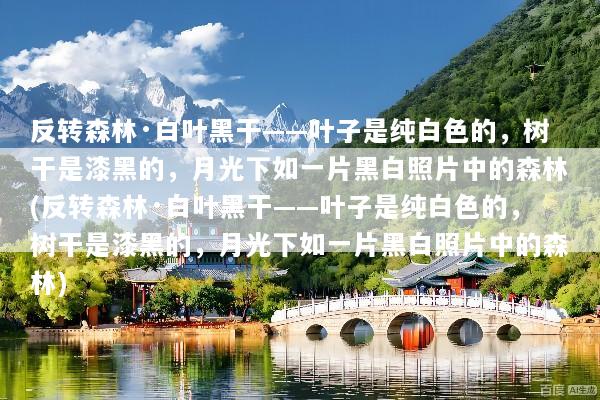反转森林·白叶黑干——叶子是纯白色的，树干是漆黑的，月光下如一片黑白照片中的森林(反转森林·白叶黑干——叶子是纯白色的，树干是漆黑的，月光下如一片黑白照片中的森林)